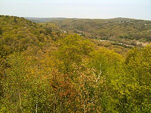 View of the forest from Crane's Lookout above Leatherman's Cave