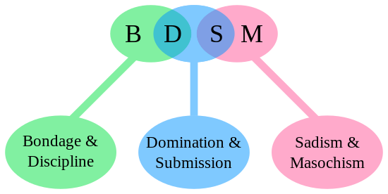 The BDSM initialism