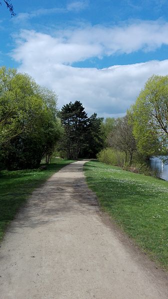 File:Baggersee, der gruenes Paradies.jpg