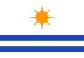 Official flag
