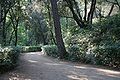 Parterres in the romantic garden