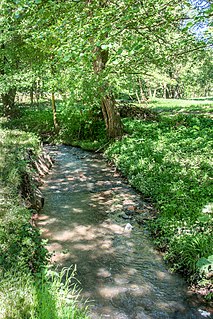 Beerbach (Modau) River in Germany