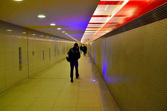 Mäusetunnel in Berlin