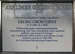 Vorschaubild für Georg Groscurth