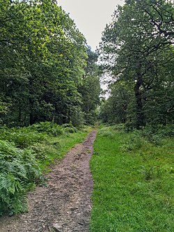 Biddulph Grange Country Park 2019 029.jpg