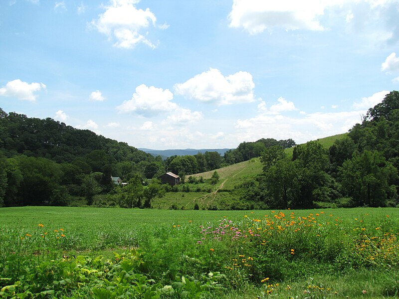 File:Big-Creek-Valley-Hawkins-tn1.jpg