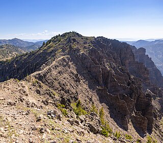 <span class="mw-page-title-main">Big Horn Peak</span> Mountain in Montana, United States