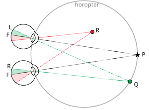 Binocular Vision