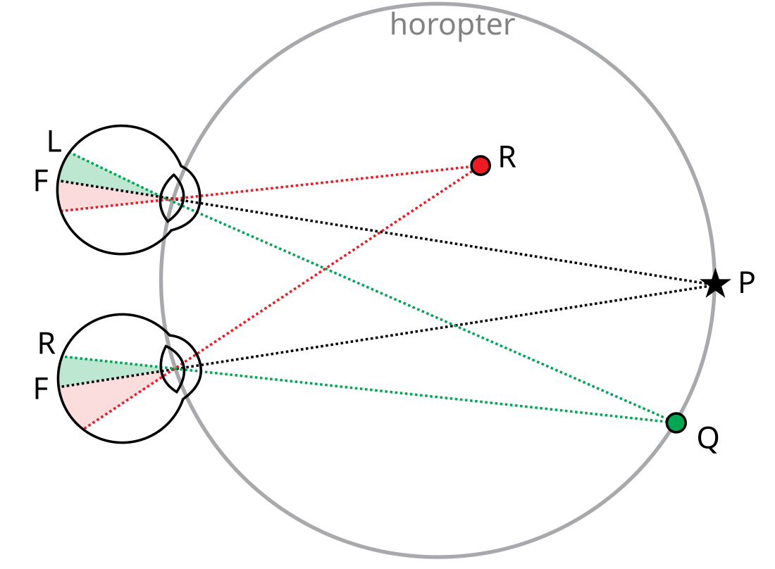 File:Binocular vision.svg