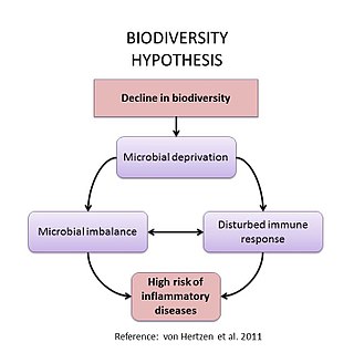 <span class="mw-page-title-main">Biodiversity hypothesis of health</span>