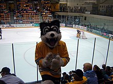 Blizzard T. Husky hyping up the crowd at a home game. Blizzard T. Husky, 2006.jpg