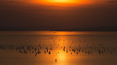 Regatta saat matahari terbenam di Danau Konstanz.