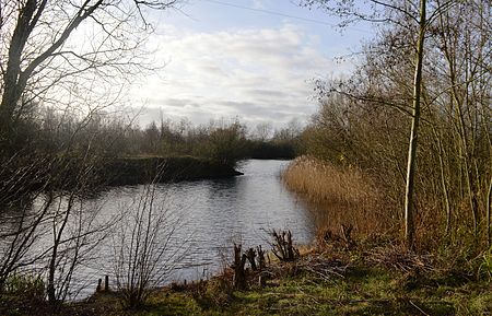 Bromham Lake 6