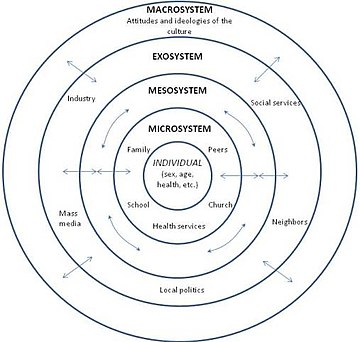 mesosystem psychology