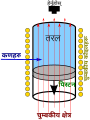 नेपाली