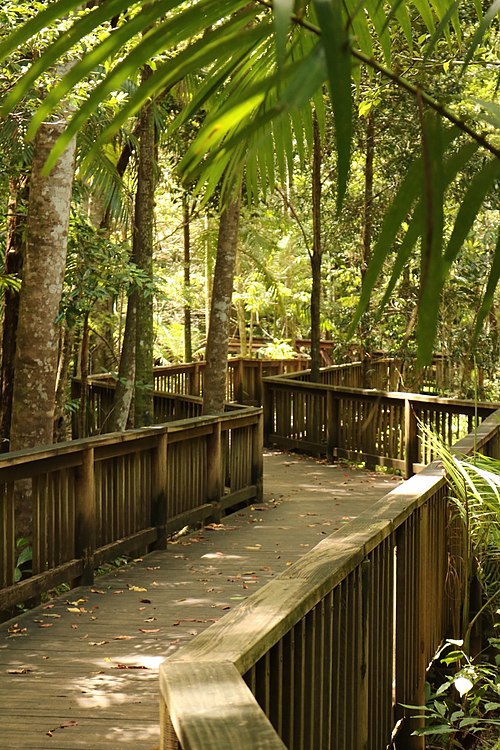 Buderim Waterfall Boardwalk, 2016