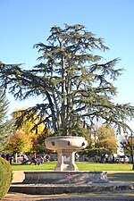 Statue de la fontaine Adeline[109],[110]