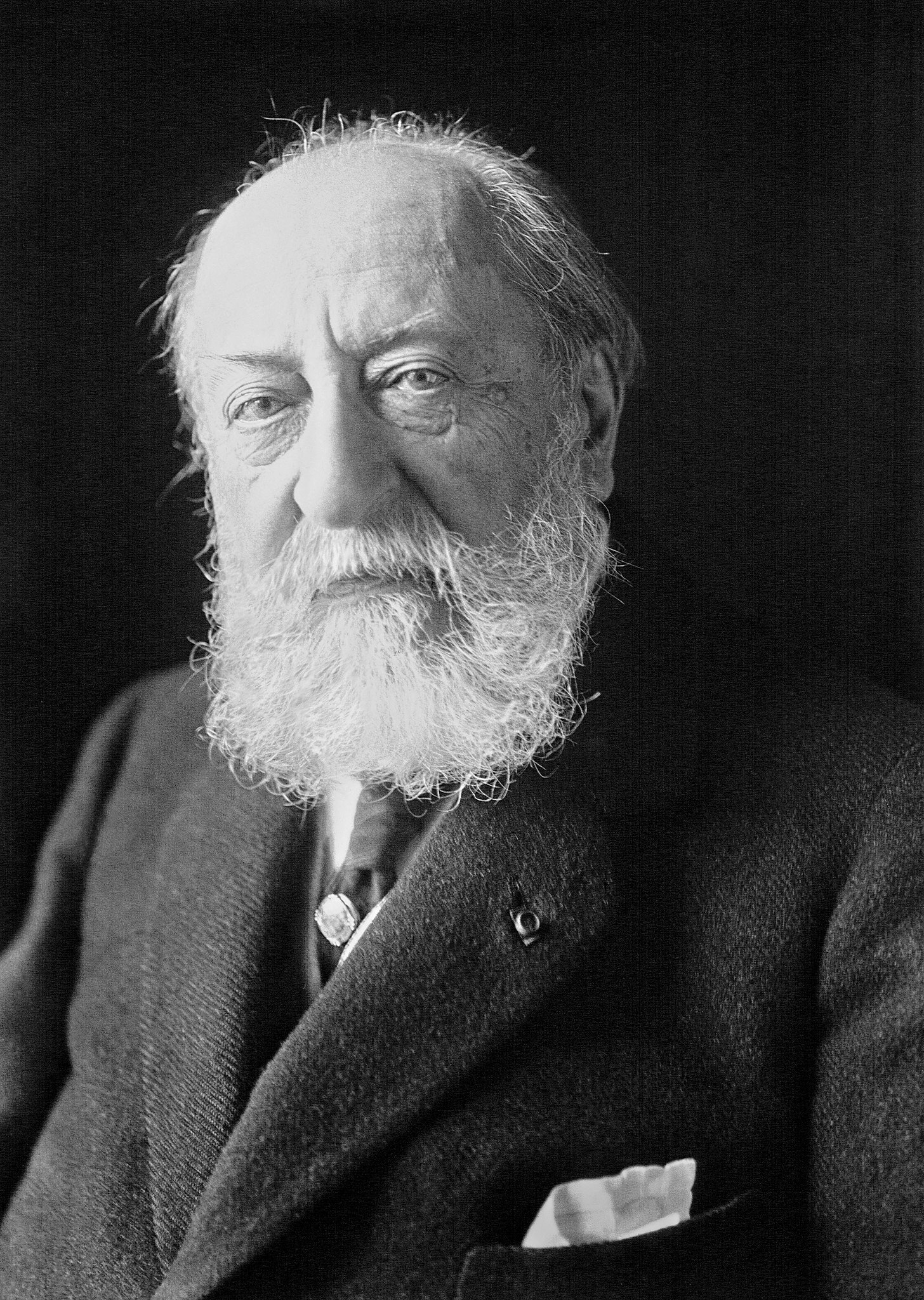 Camille Saint-Saëns - Wikipedia