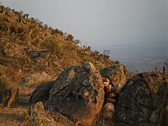 Campos rupestres - Porção Sul da Serra do Espinhaço.JPG