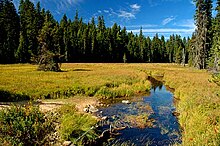 Cascades Meadow (Clackamas County, Oregon scenic images) (clacD0045).jpg