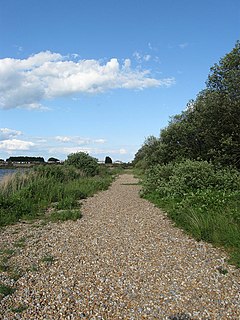 <span class="mw-page-title-main">War Department Halt railway station</span> Disused railway station in Kent, England