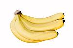 「香芽蕉」 'Cavendish' Banana