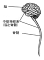 2006年10月30日 (月) 08:42時点における版のサムネイル