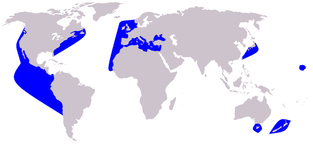 Elterjedési területe (kékkel)