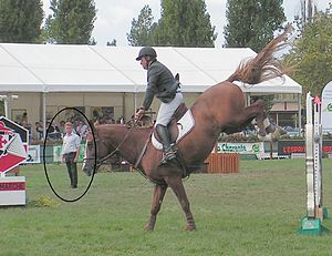 Acteur De Concours De Saut D'obstacles