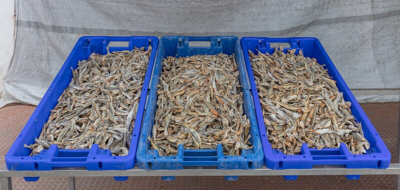 File:Chicharros (Trachurus trachurus) secos, Mercado Duque de Bragança, Angra do Heroísmo, isla de Terceira, Azores, Portugal, 2020-07-25, DD 03.jpg