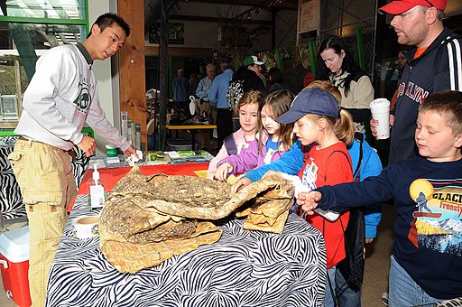 Children look at animal skins