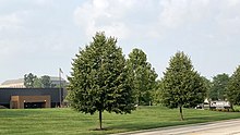 Company headquarters City Barbeque headquarters (Dublin, Ohio).jpg