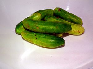 Coccinia grandis (Koval-ml) in a plate.jpg