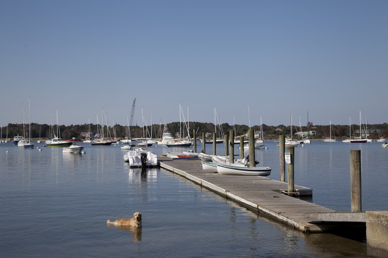 File:Connecticut Harbor looking out to the Long Island Sound LCCN2012630445.tif