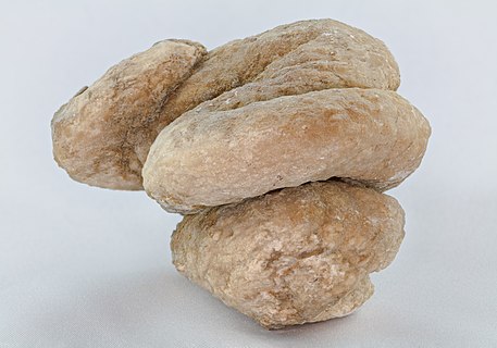 Coprolite, Calatayud, Spain