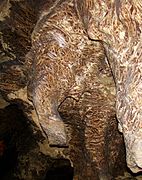 «Слон» Кришталевої печери