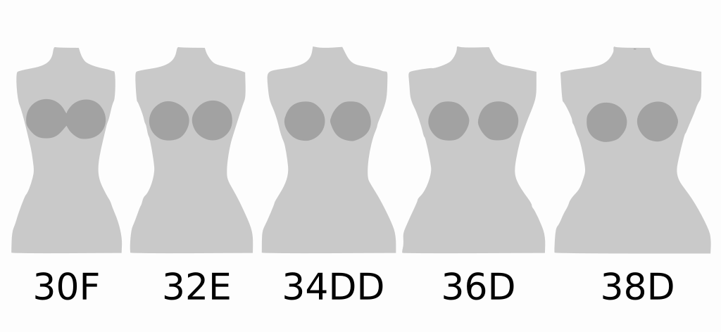 Ficheiro:Cup size comparison.svg – Wikipédia, a enciclopédia livre