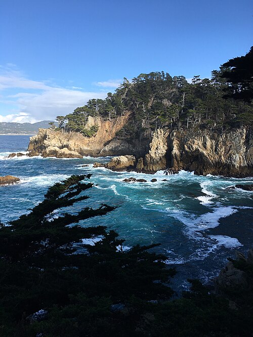 Along the Cypress Cove Trail, Point Lobos State Park