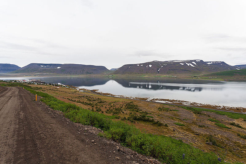 File:Dýrafjörður, Vestfirðir, Islandia, 2014-08-15, DD 012.JPG