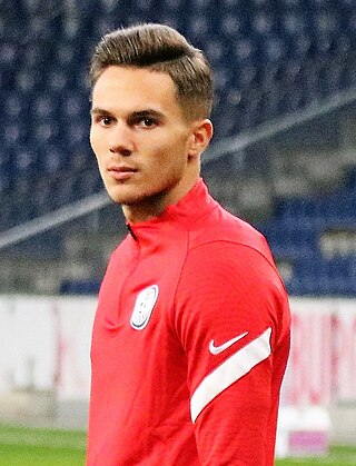 <span class="mw-page-title-main">Daniel Klicnik</span> Austrian footballer