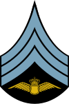 Danish Airforce OR-5a Sleeve.svg
