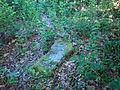 English: Dargoleza-village in Pomeranian Voivodeship, Poland. Reamins of old cemetery Polski: Dargoleza-wieś w woj. pomorskim. Pozostałości dawnego cmentarza