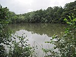 Darland's Lake Nature Reserve