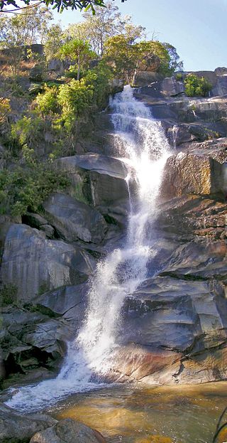 <span class="mw-page-title-main">Davies Creek National Park</span> Protected area in Queensland, Australia