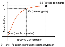 Plot of a phenotype, such as a flux, as a function of enzyme level. The response is hyperbolic like such that a homozygote dominant individual and the heterozygote individual are phenotypically indistinguishable due to the curvature of the response. DominancePlot.png