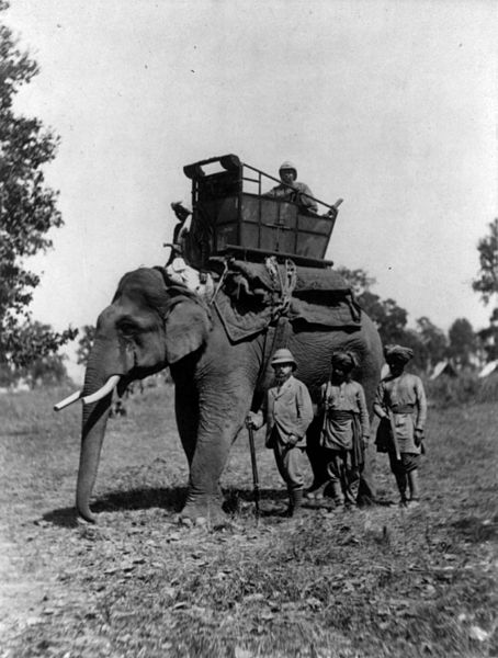 File:Edward, Prince of Wales, with elephant, Terai cph.3b08927.jpg