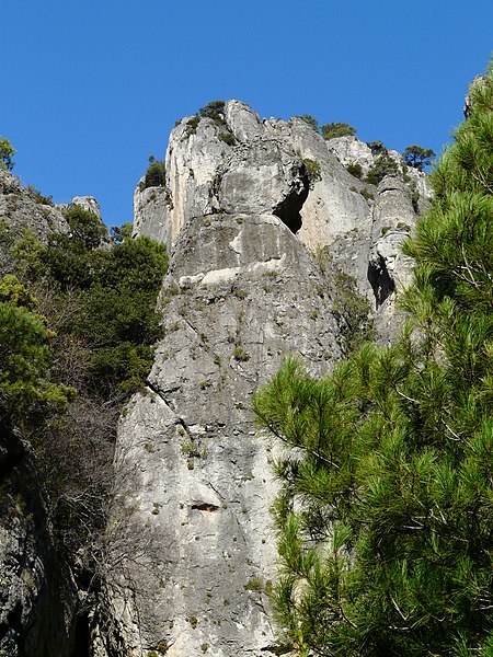 File:Entre el barranc de la Galera i la cova d'en Marc P1070378.JPG