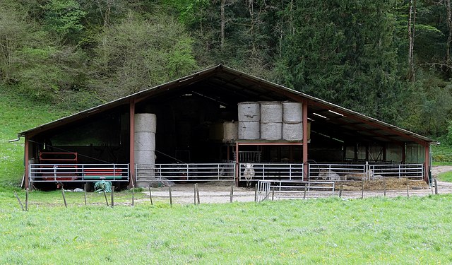 Stable in Ain, France