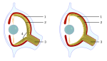 Neue Vektorgrafik