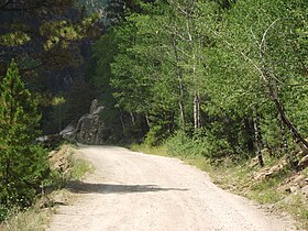 Blick auf die Fall River Road im Juli 2012.